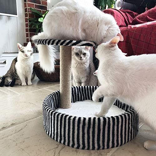 חתולי טיפוס סטנד אספקת חתולי עץ חתולי השריטה לוח טיפוס טור חתולי קן קטן סיסל צעצועי קפיצות פלטפורמה
