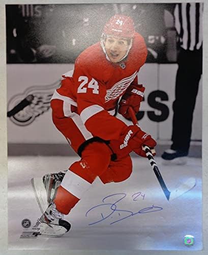 דמיאן ברונר עם חתימה על דטרויט כנפיים אדומות 16x20 צילום - תמונות NHL עם חתימה