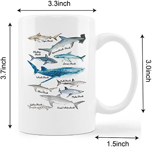קונליסה אקוורל כריש ספל כוס, ים חיים כריש חינוכיים אוקיינוס בעלי החיים תרשים קרמיקה ספל-11 עוז קפה חלב תה ספל כוס,כריש אוהבי מתנות,בני