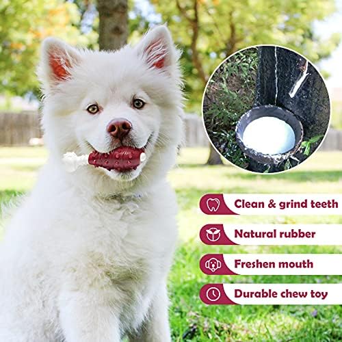 צעצוע שיניים גומי חזק לעיסת הכלב שלך ， ניילון ועצם עצם כלב גומי מפחית שעמום ， צעצועים בקיעת שיניים לכלבים, ללעוס לגורים בינוניים/קטנים,