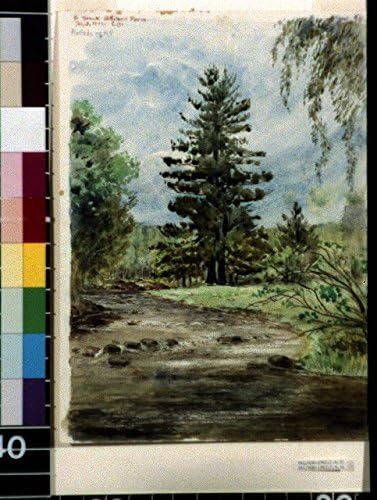 צילום HisthericalFindings: The Brook, Farm Gilliland, Plattsburgh, New York, NY, River, Nature, Tree, Cass Gilbert